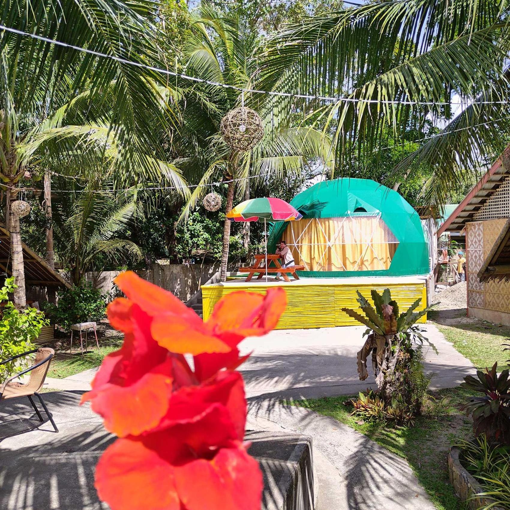 Eco Glamping Treehouses Closest Resort To All Tourist Attractions Balilihan Kültér fotó